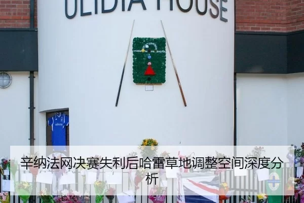 辛纳法网决赛失利后哈雷草地调整空间深度分析